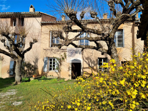 Immobilier Des Pays Du Mont Ventoux, Agence Immobilière Bédoin Et Environs